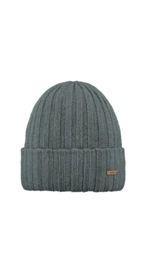 Barts Accessories Bayne Beanie in Dark Celadon